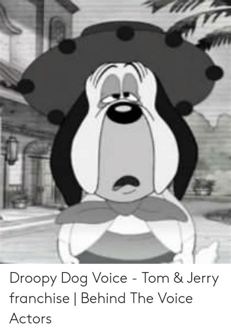 25 Best Memes About Droopy Dog Droopy Dog Memes