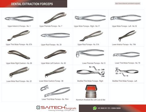 Ss410 Dental Extraction Forceps For Clinical At Rs 1150piece In