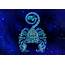Scorpio Daily Horoscope  July 24 2020 Free Online Astrology