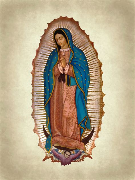 Our Lady Of Mount Carmel Virgen De Guadalupe Fotos 790