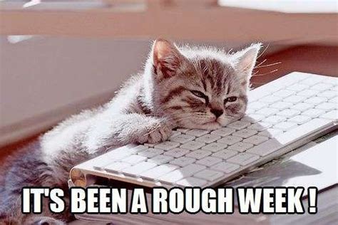 Its Been A Rough Weekend Cute Animals With Funny Captions Cute Baby