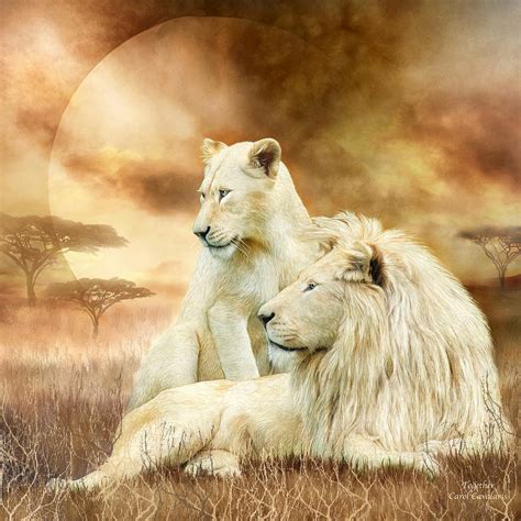Two White Lions Together Mixed Media By Carol Cavalaris Fine Art