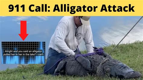 911 Call Woman Fights Giant Alligator Youtube