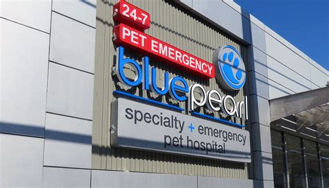 BluePearl Pet Hospital | Philadelphia, PA