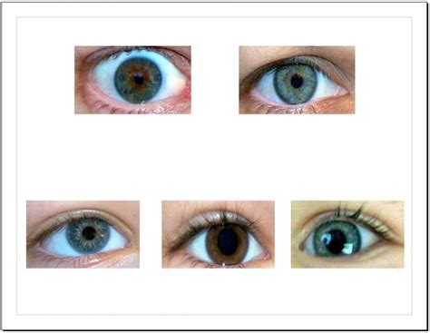 Facts About Eye Color Genetics Eye Color Chart Eye Color Chart