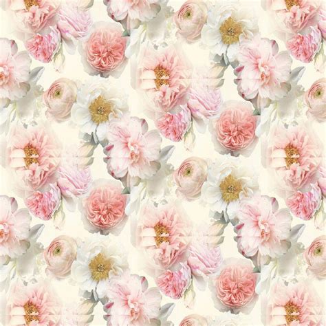 Blush Floral Wallpapers Top Free Blush Floral Backgrounds