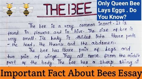 The Bee Essay In English Fact About Bees Paragraph Honey Bee Essay