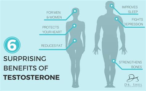 6 Surprising Benefits Of Testosterone Dr Shel Wellness And Aesthetic Center