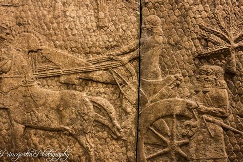 Assyrian Reliefs British Museum British Museum Trip Loncon