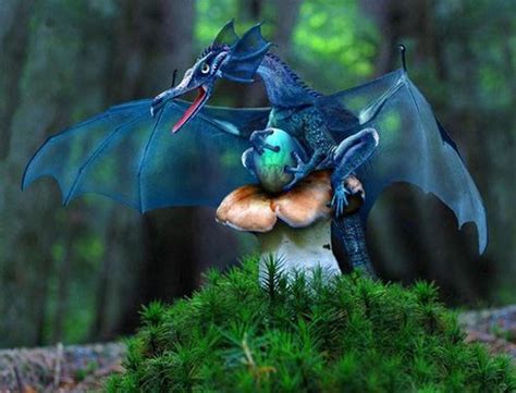 85 Fairies Dragons And Other Mythological Creatures Via Facebook