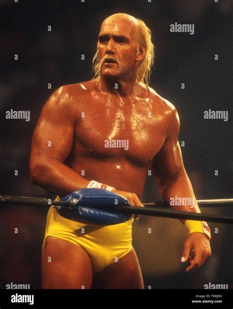 Hulk Hogan 1995John Barrett PHOTOlink Net MediaPunch Stock Photo Alamy