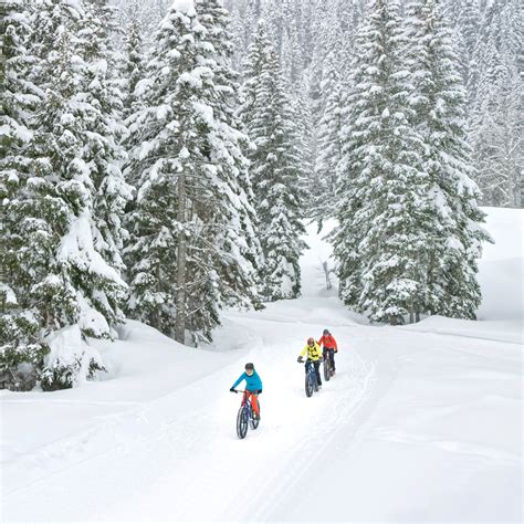 5 Perfect Winter Outings In The Sierra Nevada