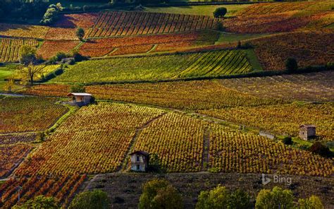 Bing Fall Colors Windows 10 Theme Free Wallpaper Themes