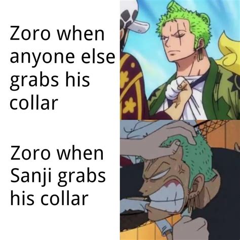 Zoro × Sanji One Piece Comic One Piece Funny One Piece Meme