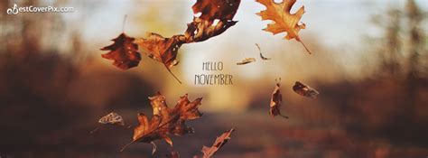 Right click on the favorite cover above. Hello Dear November Facebook Covers - Autumn Pictures ...