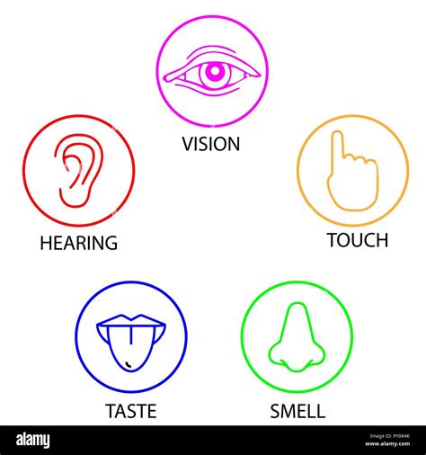 Set Of Five Human Senses Vision Hearing Touch Taste Smell Icon
