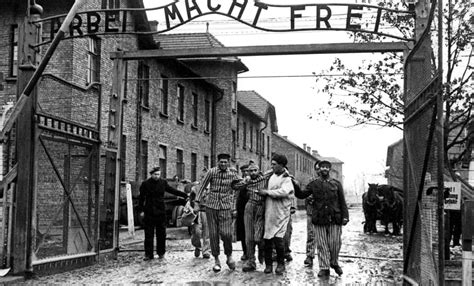 Fotos La Liberación De Auschwitz Gallery Cnn