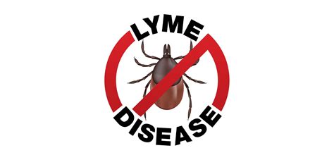 Lyme Disease Live 2 The Max