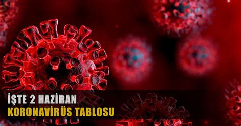2 Haziran koronavirüs tablosu açıklandı B Gazete