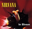 Nirvana - In Bloom | Releases, Reviews, Credits | Discogs