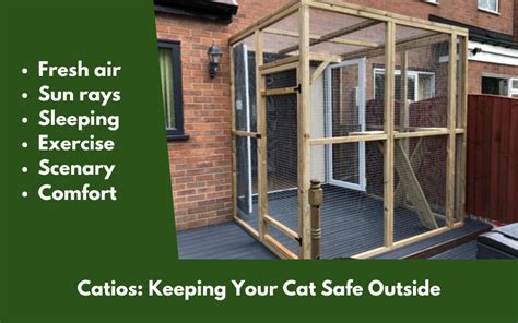 Catio Run Ideas To Keep Cats Safe In The Garden Diy Cat Runs