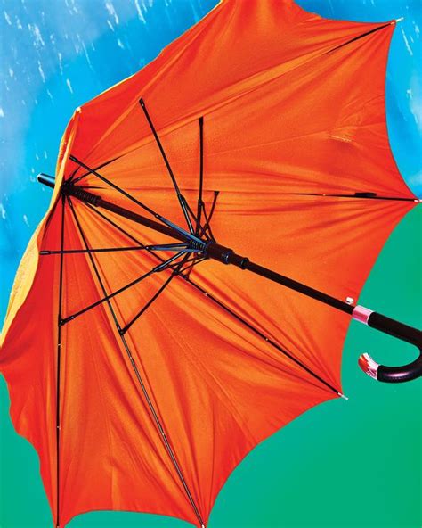 The 34 Best Umbrellas You Can Buy 2021 The Strategist