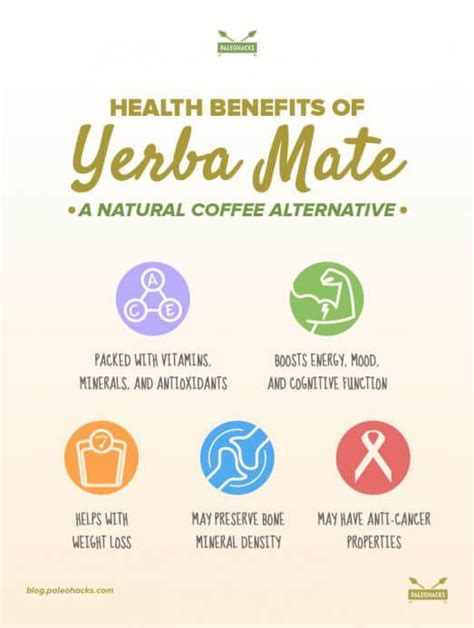 Health Benefits Of Yerba Mate A Natural Coffee Alternative