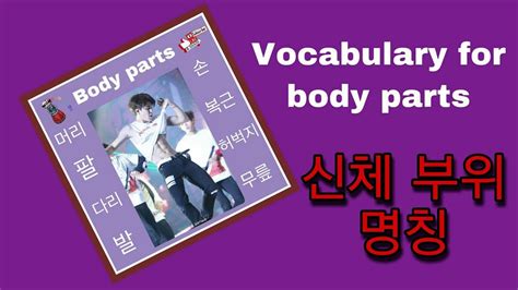 vocabulary  body parts youtube