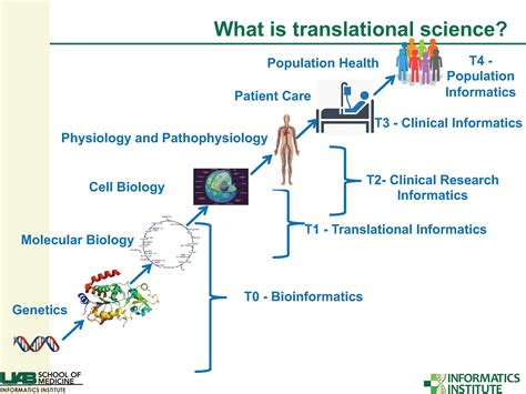 Public Health Informatics Key Phase Of Translational Science Spectrum
