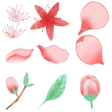 Pink Peach Png Transparent Spring Pink Peach Combination Pink Peach