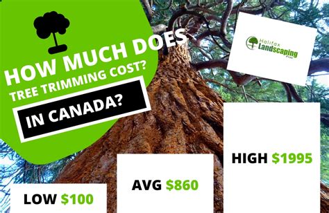 How much bush trimming costs depends on whether your contractor charges by the hour or by the bush. Landscaping Costs 2020 | Average Prices in Canada