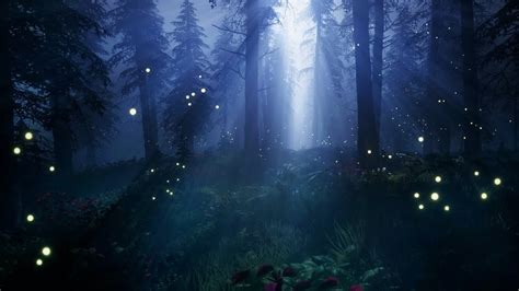 Night Forest Ambience Crickets Cicadas Virtual Ambience Youtube