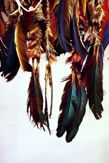 45 best native american feathers ideas native american feathers native american feather
