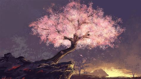 Arbre Sakura Fleurs Hd Fond Décran Télécharger