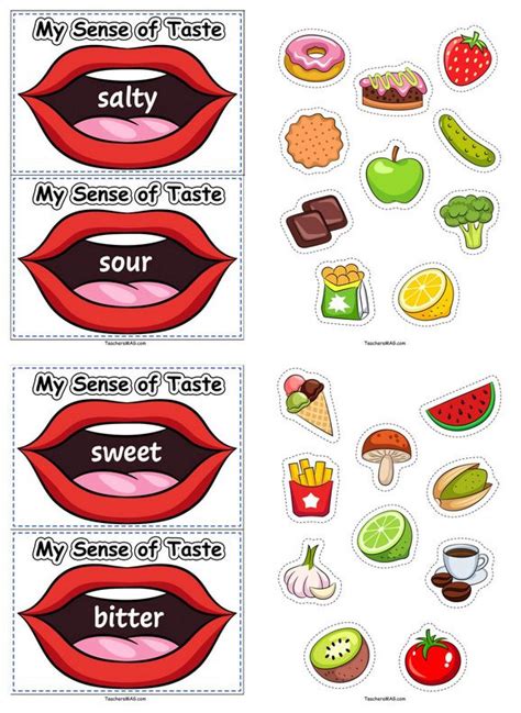 5 Senses Activities for Preschoolers – BuyLapbook | 5 senses activities