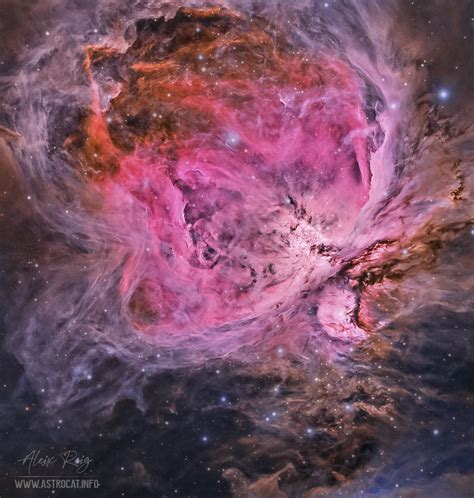 The Orion Nebula M42 Astrocat