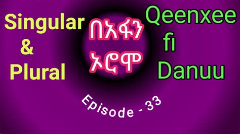 Learn The Afan Oromo Language Singular And Plural Forms In Amharic