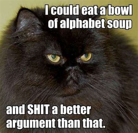 21 Funny Cat Captions Random Funny Cat Humor Funny Pictures Bones