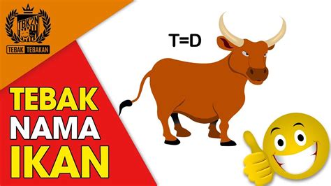 43 Tebak Tebakan Gambar Hewan Lucu Mariana Gambar