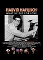 Marvin Hamlisch: What He Did For Love (2013) - DVD PLANET STORE