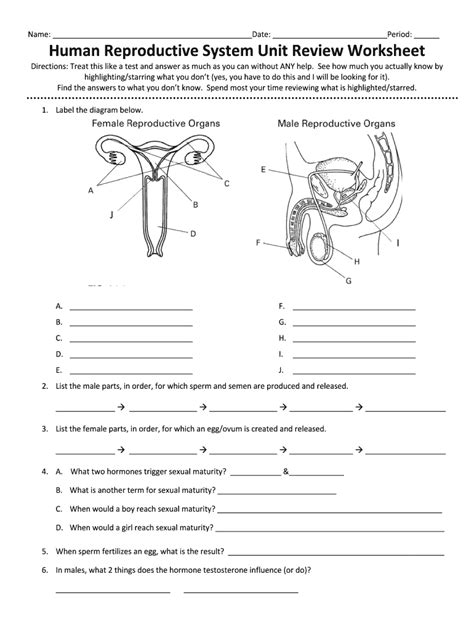 Human Reproductive System Unit Review Worksheet Form Fill Out And