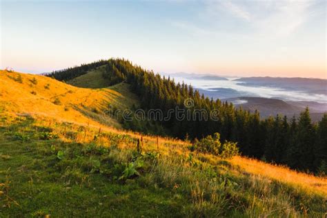 Summer Sunrise Landscape In Carpathian Mountains Stock Image Image Of