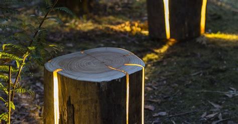 Bring Nature Into Your Home With These Illuminated Tree Stumps Tree