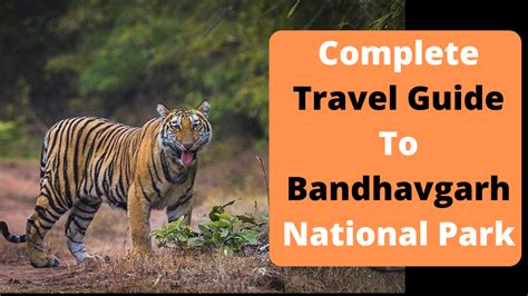 Complete Travel Guide To Bandhavgarh National Park Bandhavgarh Tiger