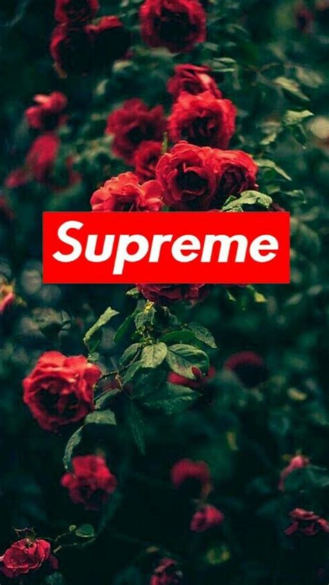 Free download latest collection of aesthetic wallpapers and backgrounds. Download Supreme roses Wallpaper by 0dd_Future - ad - Free ...