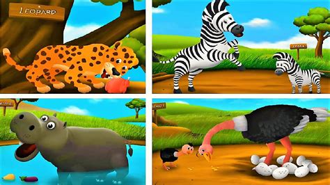 Children Learn Animals Feed The Animals Educational Games Youtube