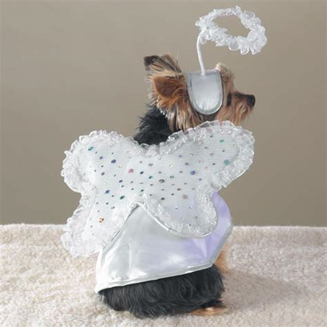 Dog Clothing Dog Clothes Accessories Dog Costumes Pet Halloween