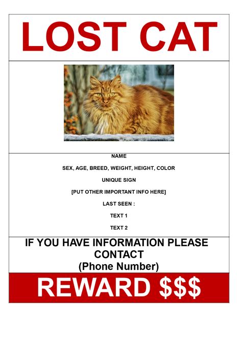 Lost Cat With Reward Model A3 Template Download This Lost Cat With