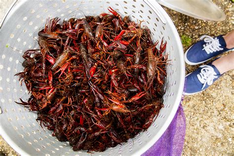 The Guide To A Perfect Crawfish Boil Baton Rouge Style 225