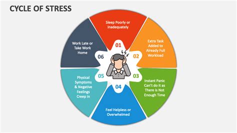 Cycle Of Stress Powerpoint Presentation Slides Ppt Template